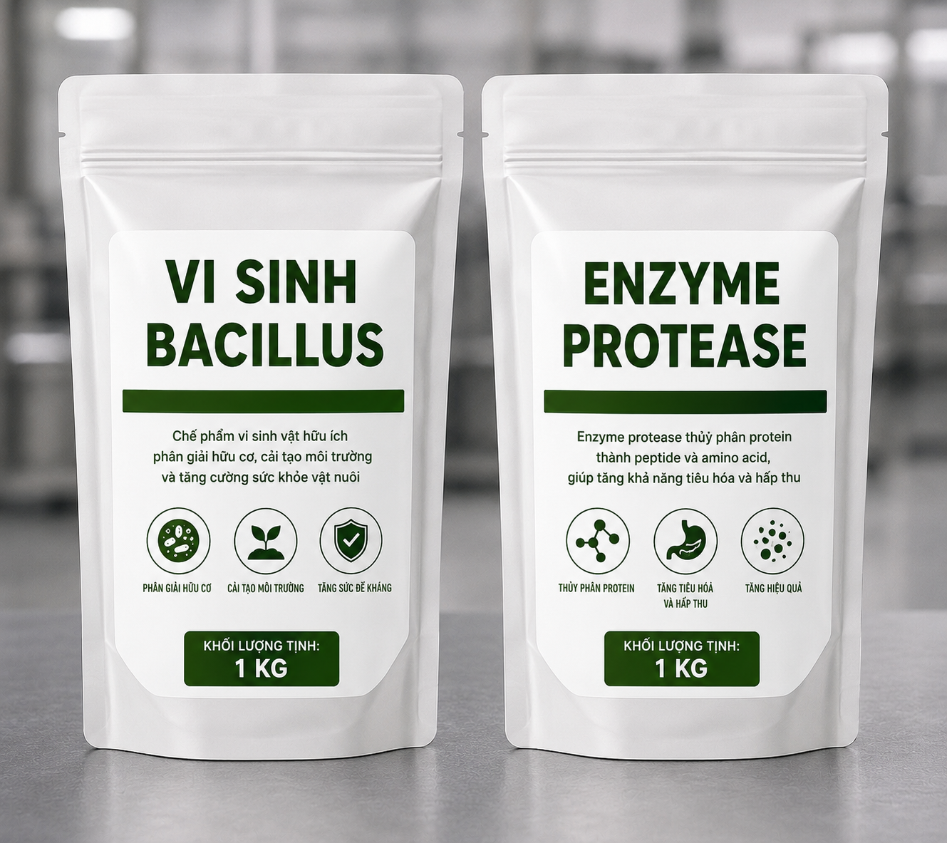 Bacillus và Enzyme Protease